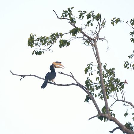 Pelican View Cottages กตรคาม ภายนอก รูปภาพ
